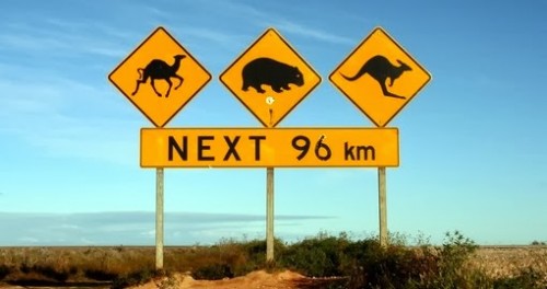 Famous road sign from Australia